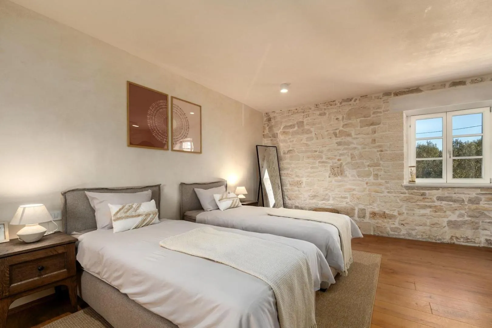 Villa Paladnjaki Zminj Croatia