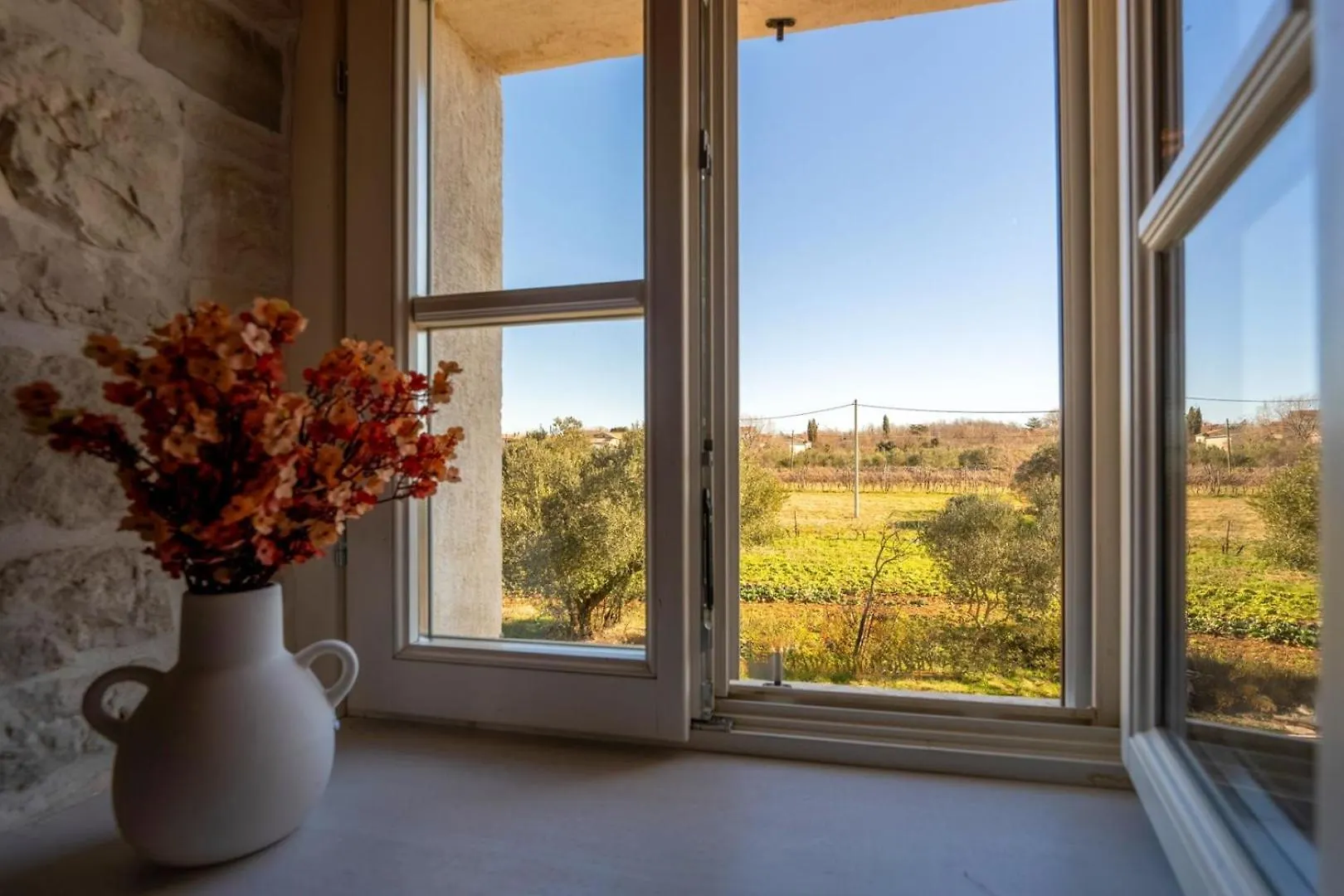 Villa Paladnjaki Zminj